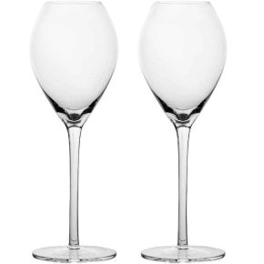 Sagaform Saga champagne glass 23 cl clear, ribbed stem 2 pcs